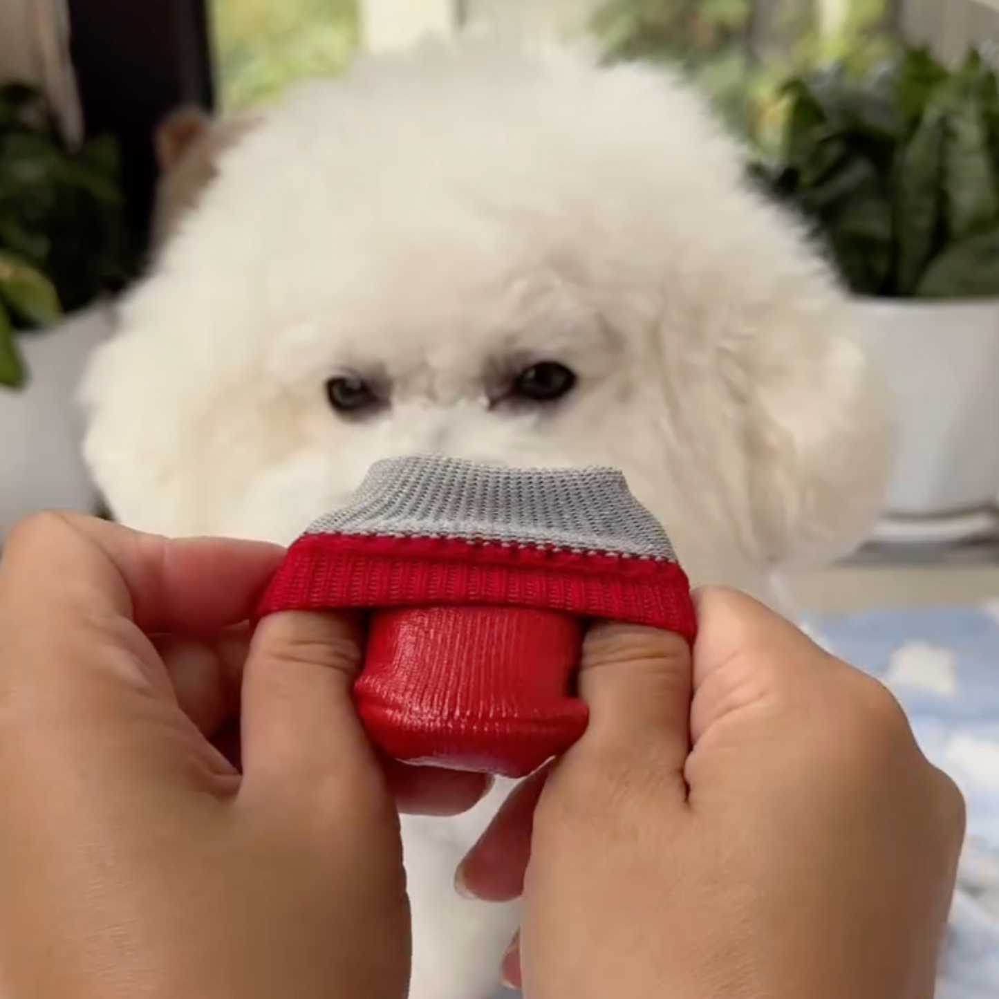 Chewie Cozy Waterproof Shoes