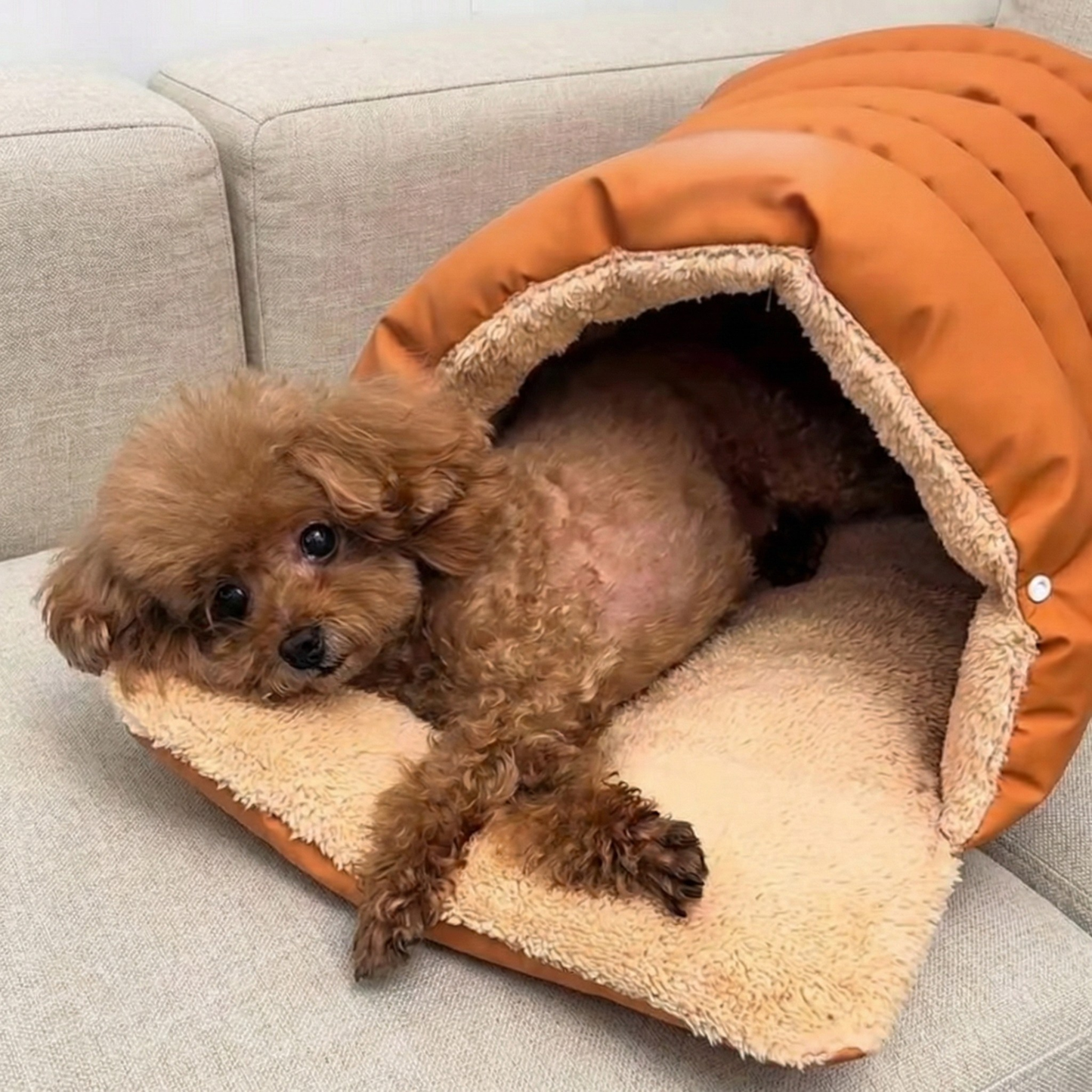 Chewie Cozy Dog Nest