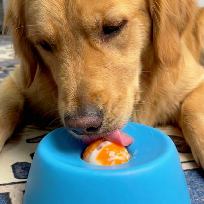 Chewie Viral Licking Bowl