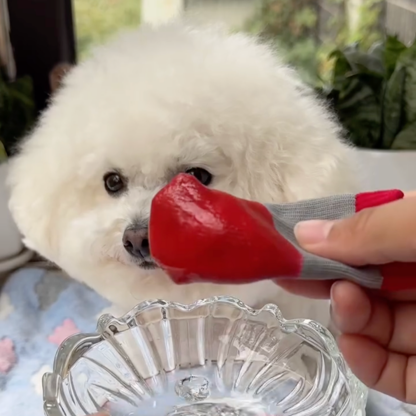 Chewie Cozy Waterproof Shoes