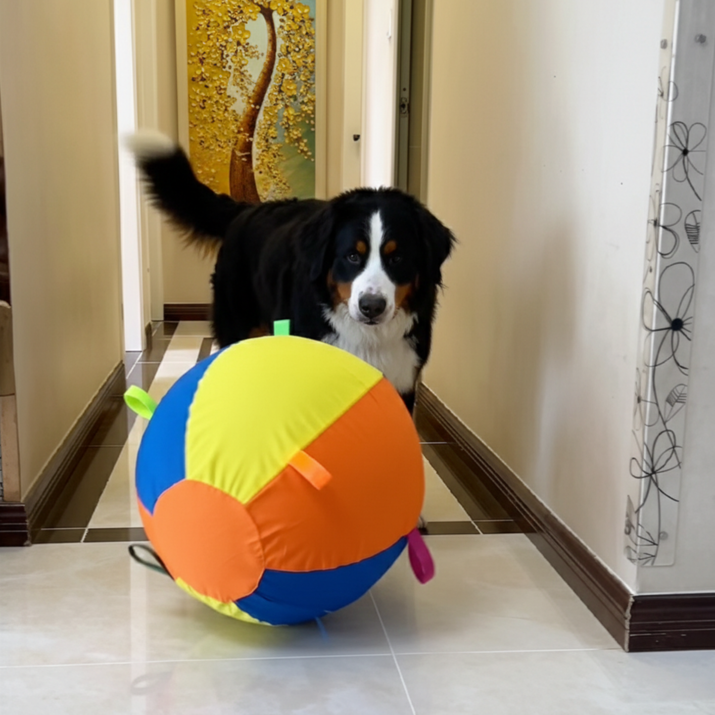 Chewie Viral Giant Ball