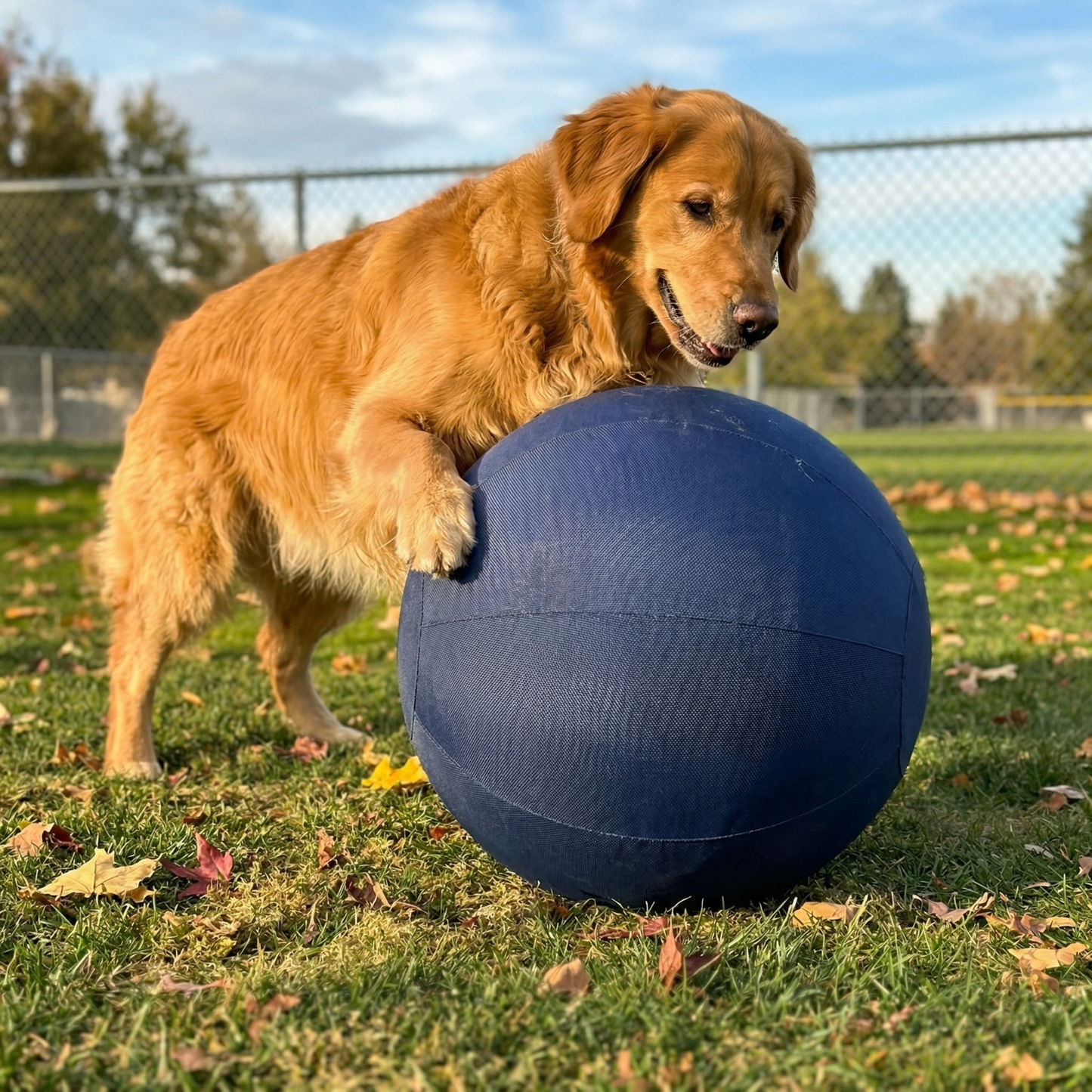 Chewie Indestructible Herding Ball