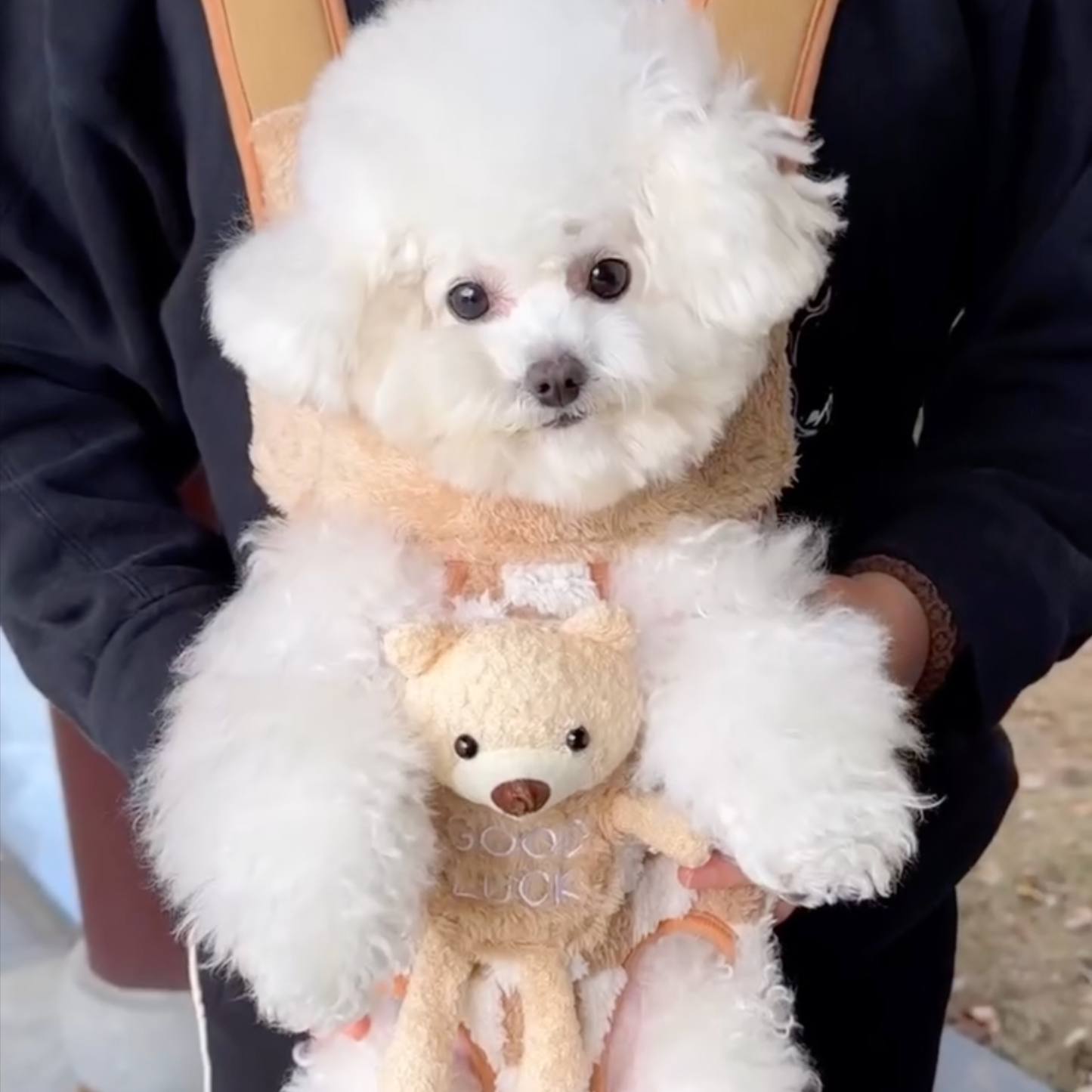 Chewie Viral Cozy Backpack