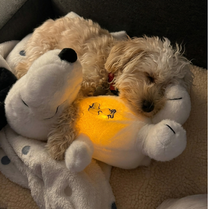 Chewie Calming Breathing Snoopy