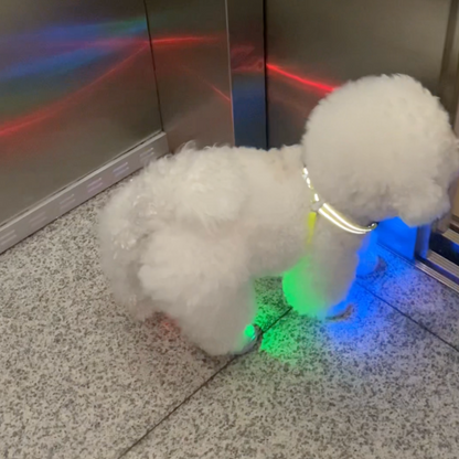 Chewie Viral Lights Shoes