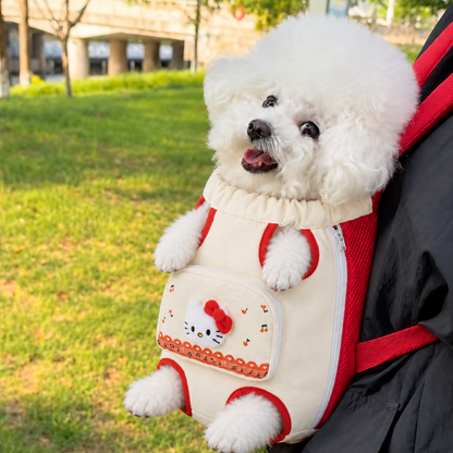 Chewie Viral Cozy Backpack