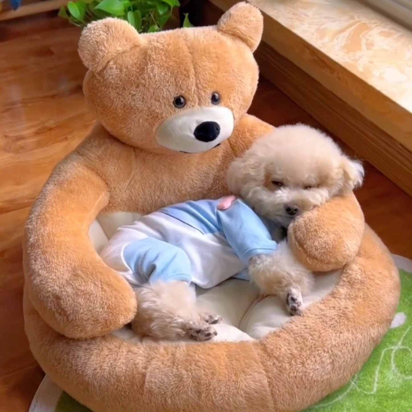 Chewie Cozy Bear Bed
