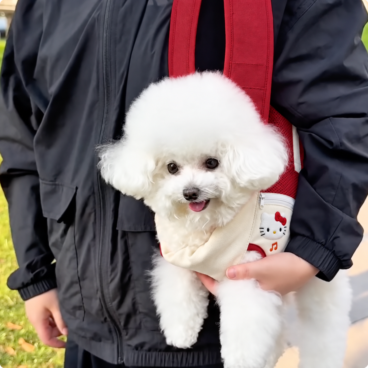 Chewie Viral Cozy Backpack