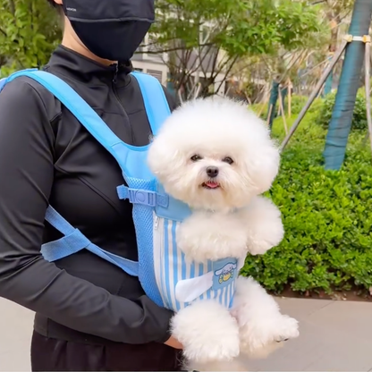 Chewie Viral Cozy Backpack