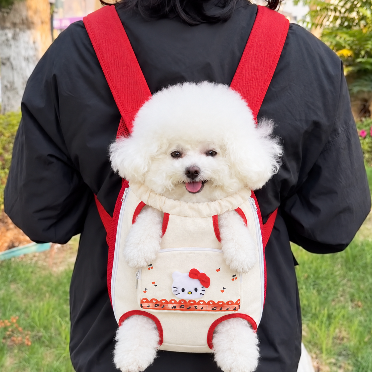 Chewie Viral Cozy Backpack