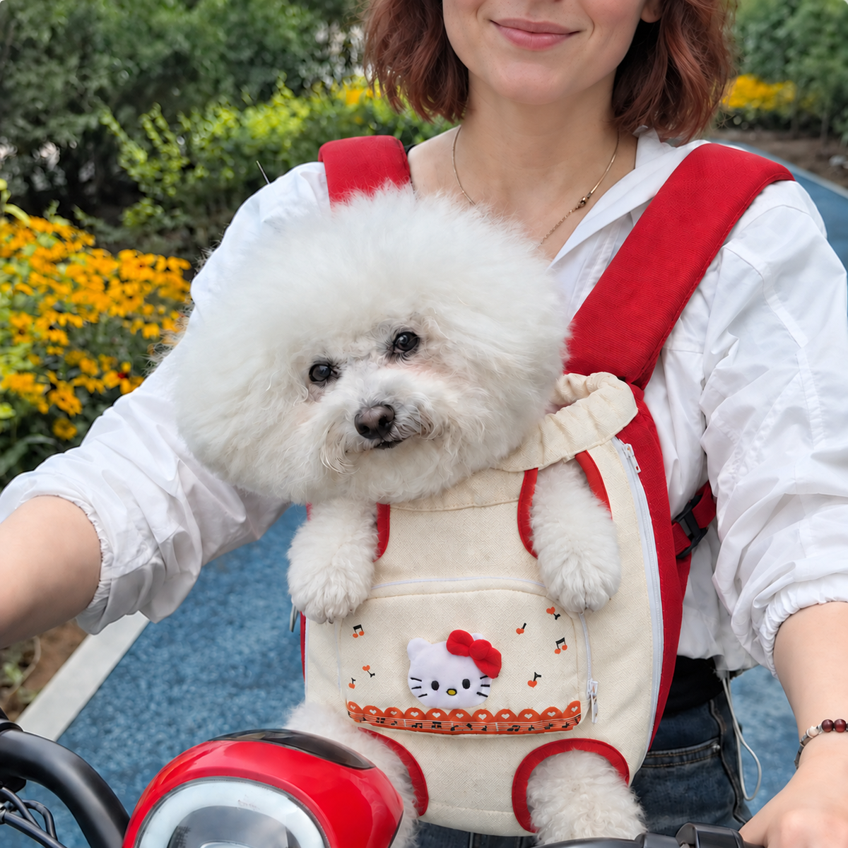 Chewie Viral Cozy Backpack