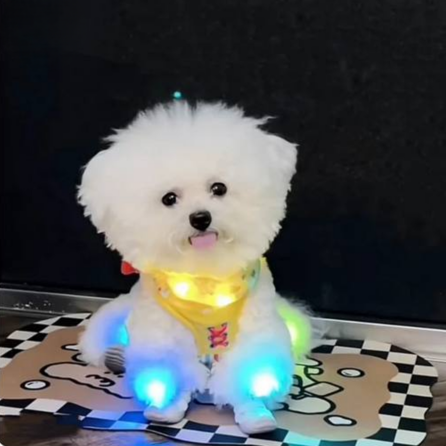 Chewie Viral Lights Shoes