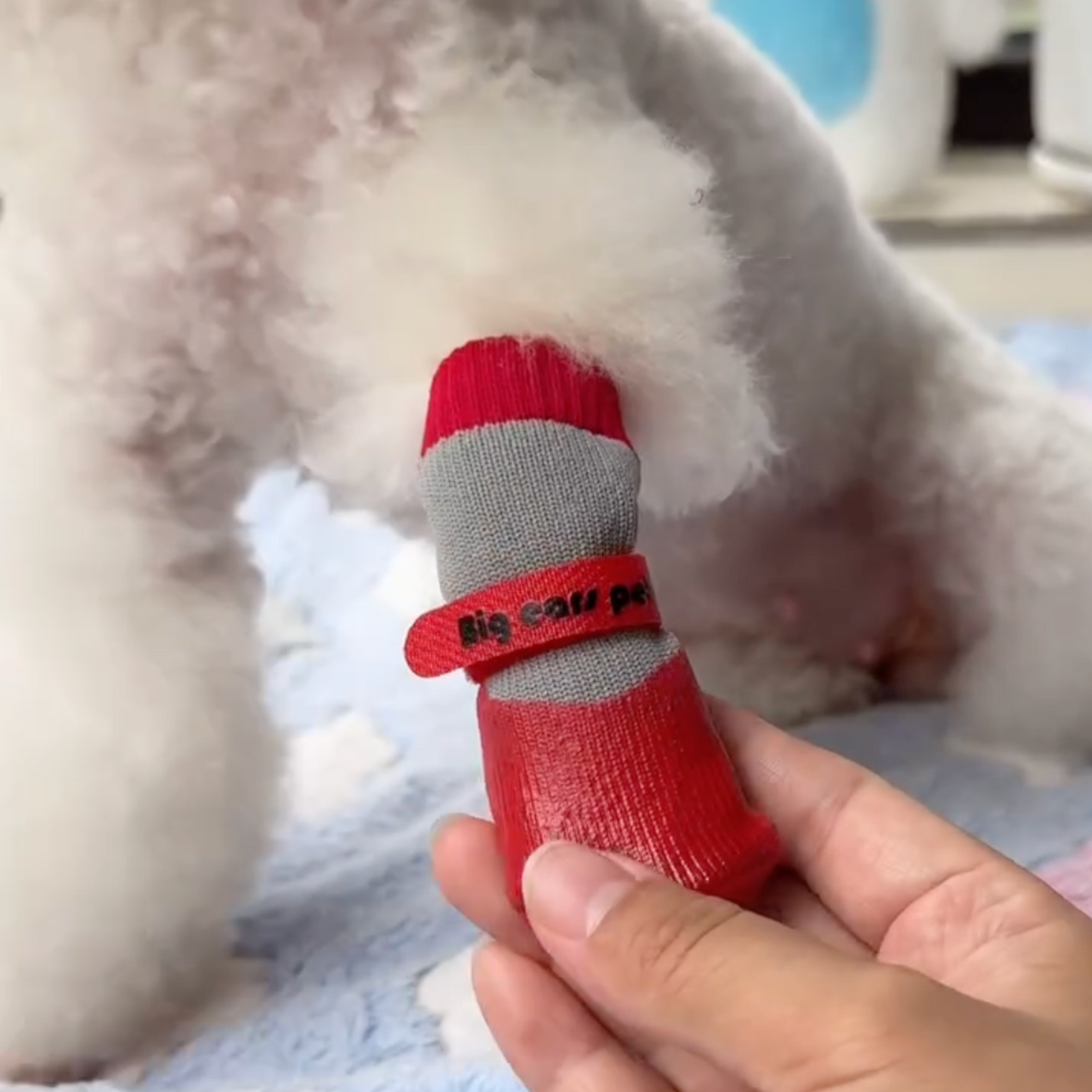 Chewie Cozy Waterproof Shoes