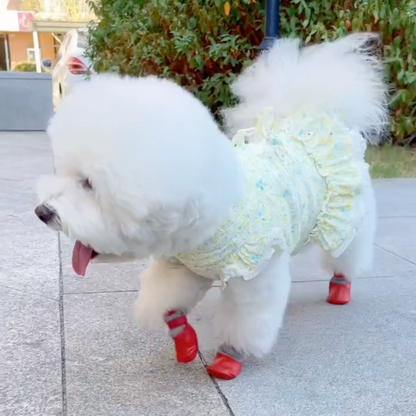 Chewie Cozy Waterproof Shoes