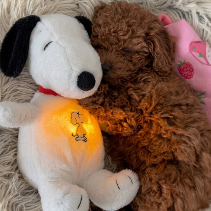 Chewie Calming Breathing Snoopy