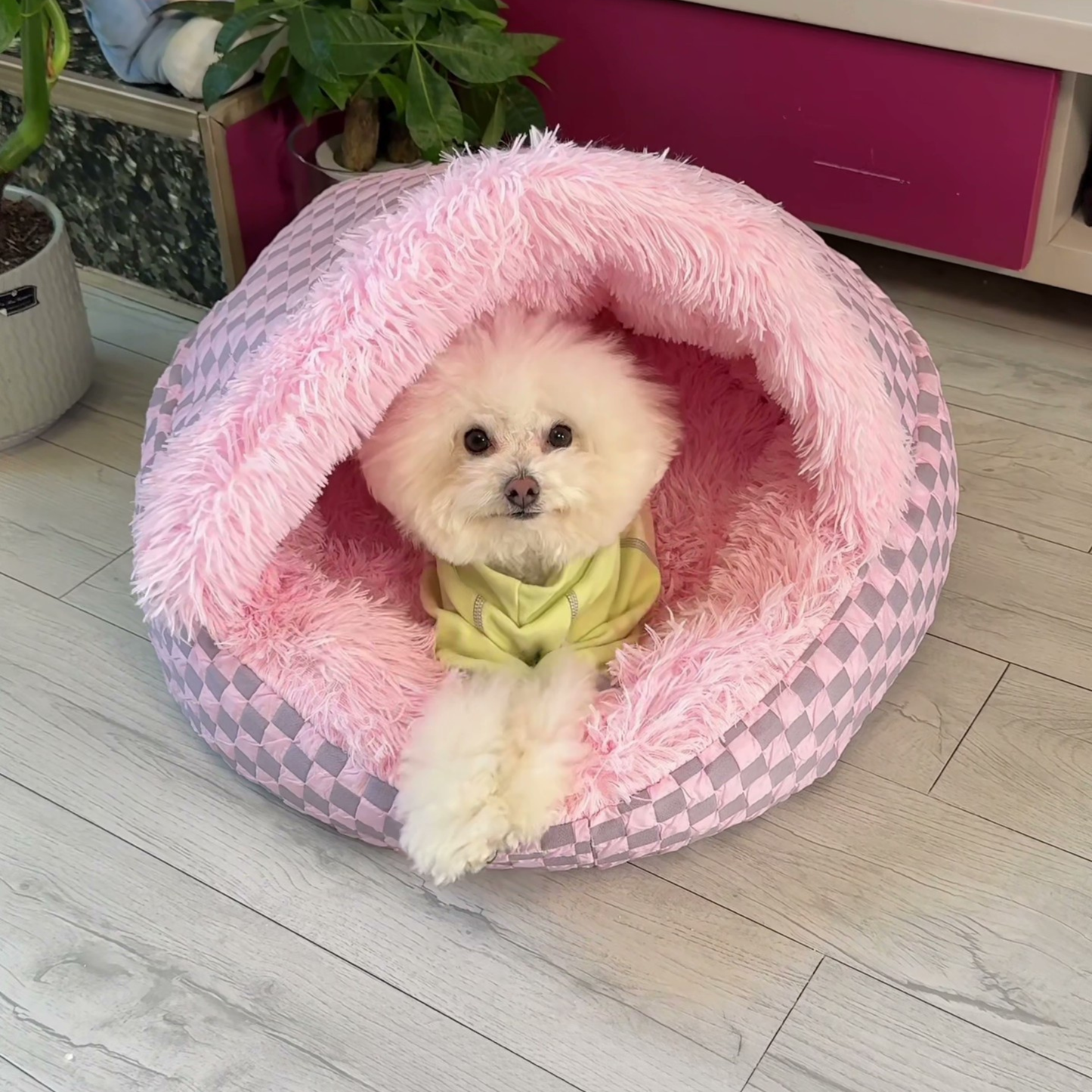 Chewie Cozy Dog Cave