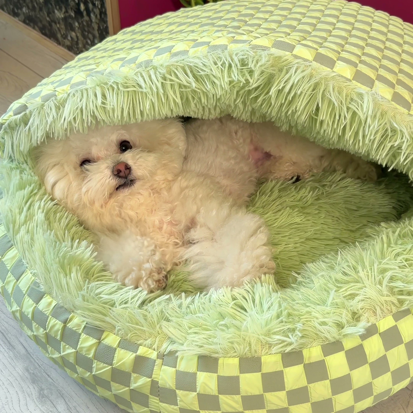 Chewie Cozy Dog Cave