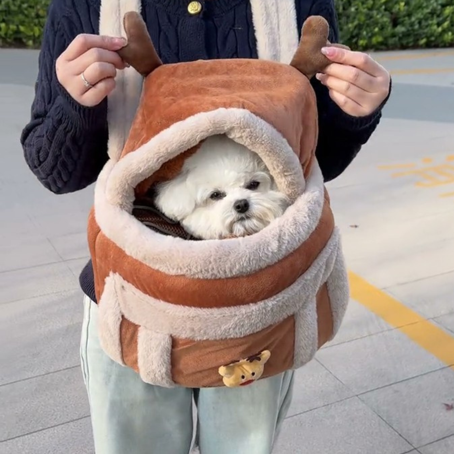Chewie Viral Reindeer Carrier