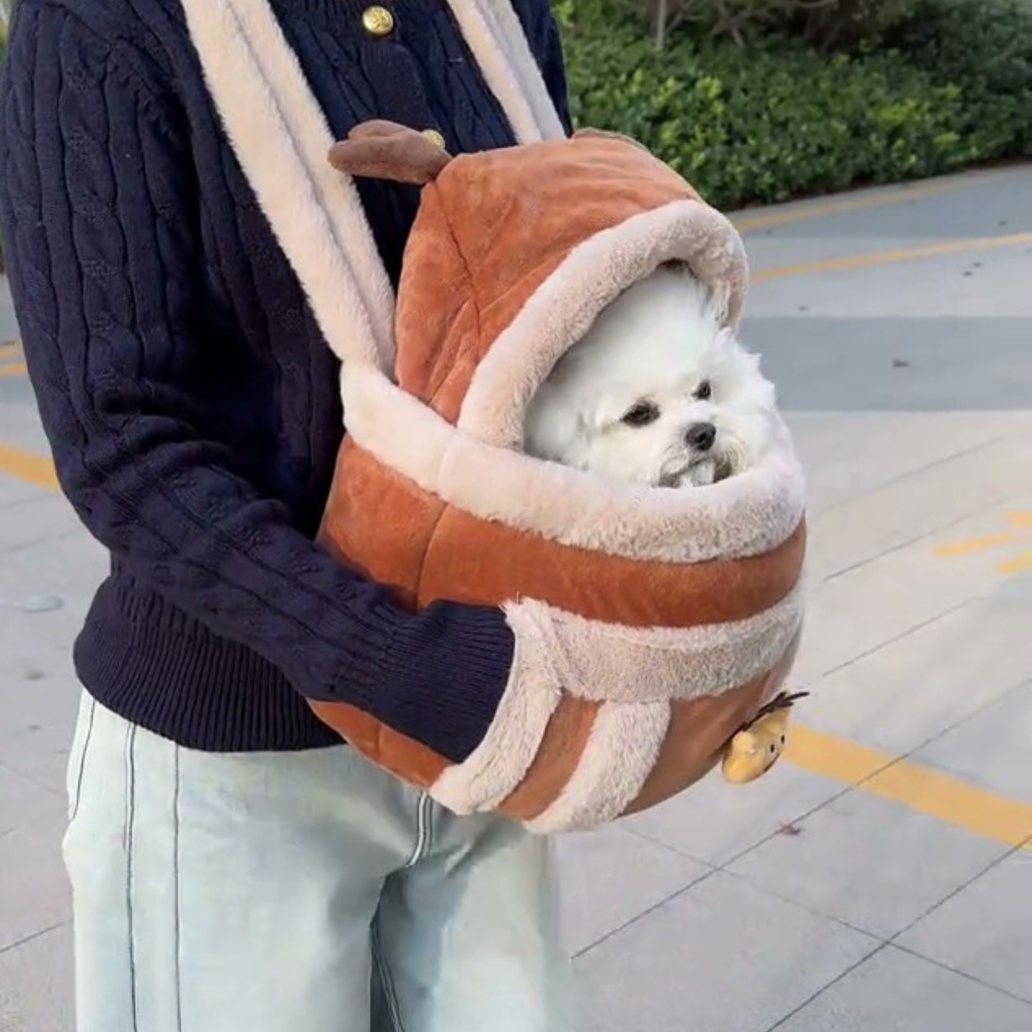 Chewie Viral Reindeer Carrier