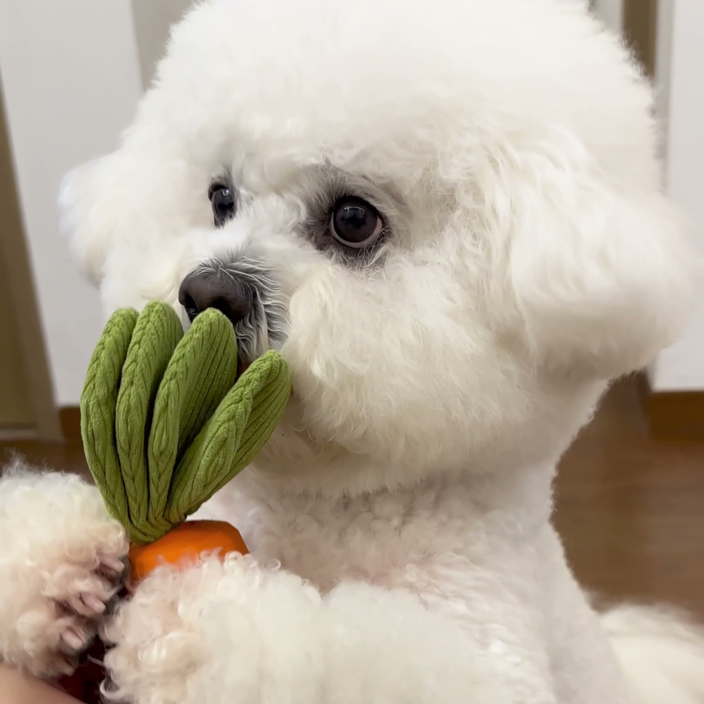 Chewie Viral Indestructible Carrot