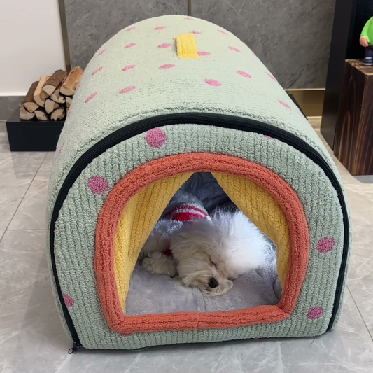 Chewie Viral Cozy House