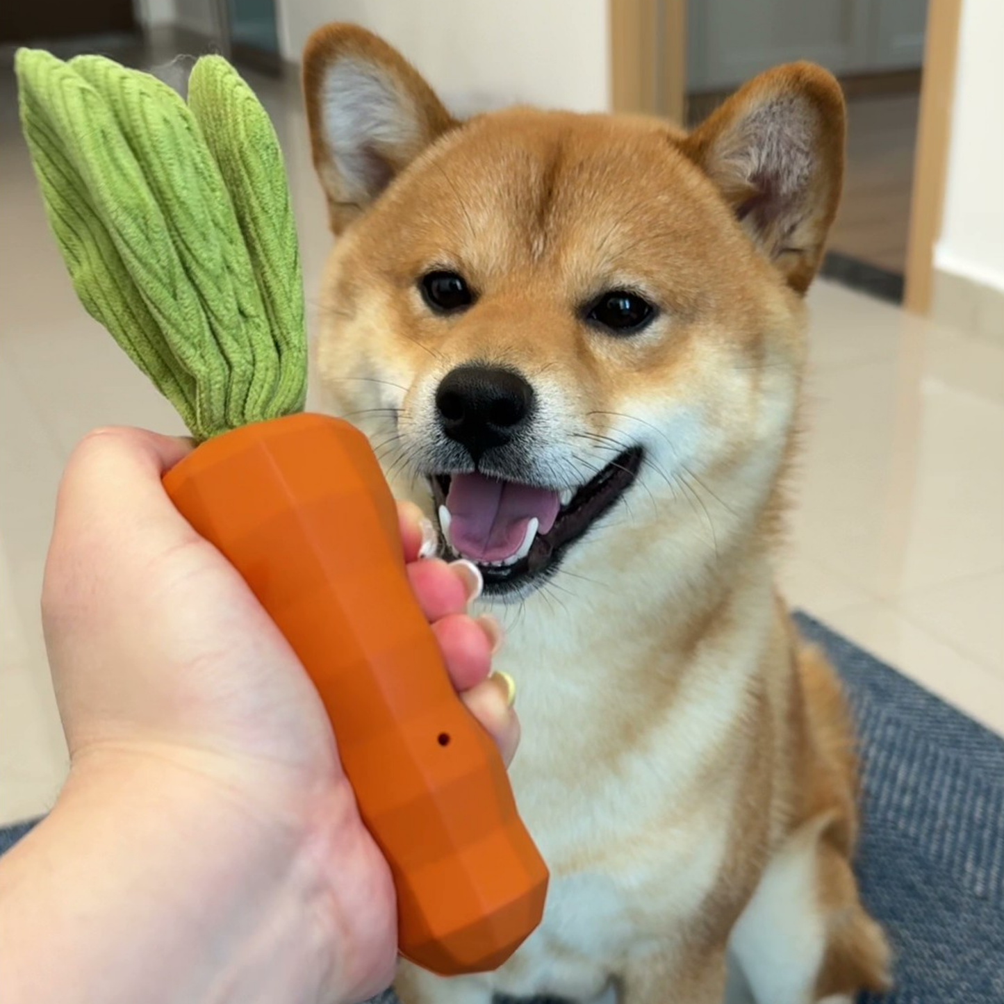 Chewie Viral Indestructible Carrot