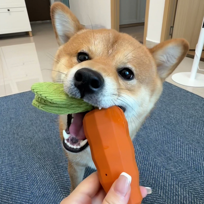 Chewie Viral Indestructible Carrot