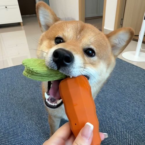 Chewie Viral Indestructible Carrot