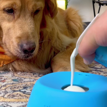 Chewie Viral Licking Bowl