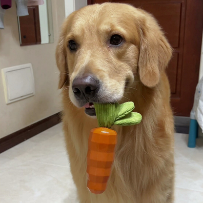 Chewie Viral Indestructible Carrot