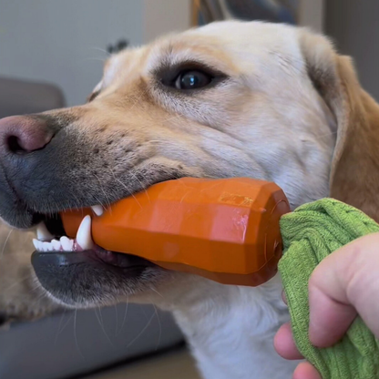 Chewie Viral Indestructible Carrot