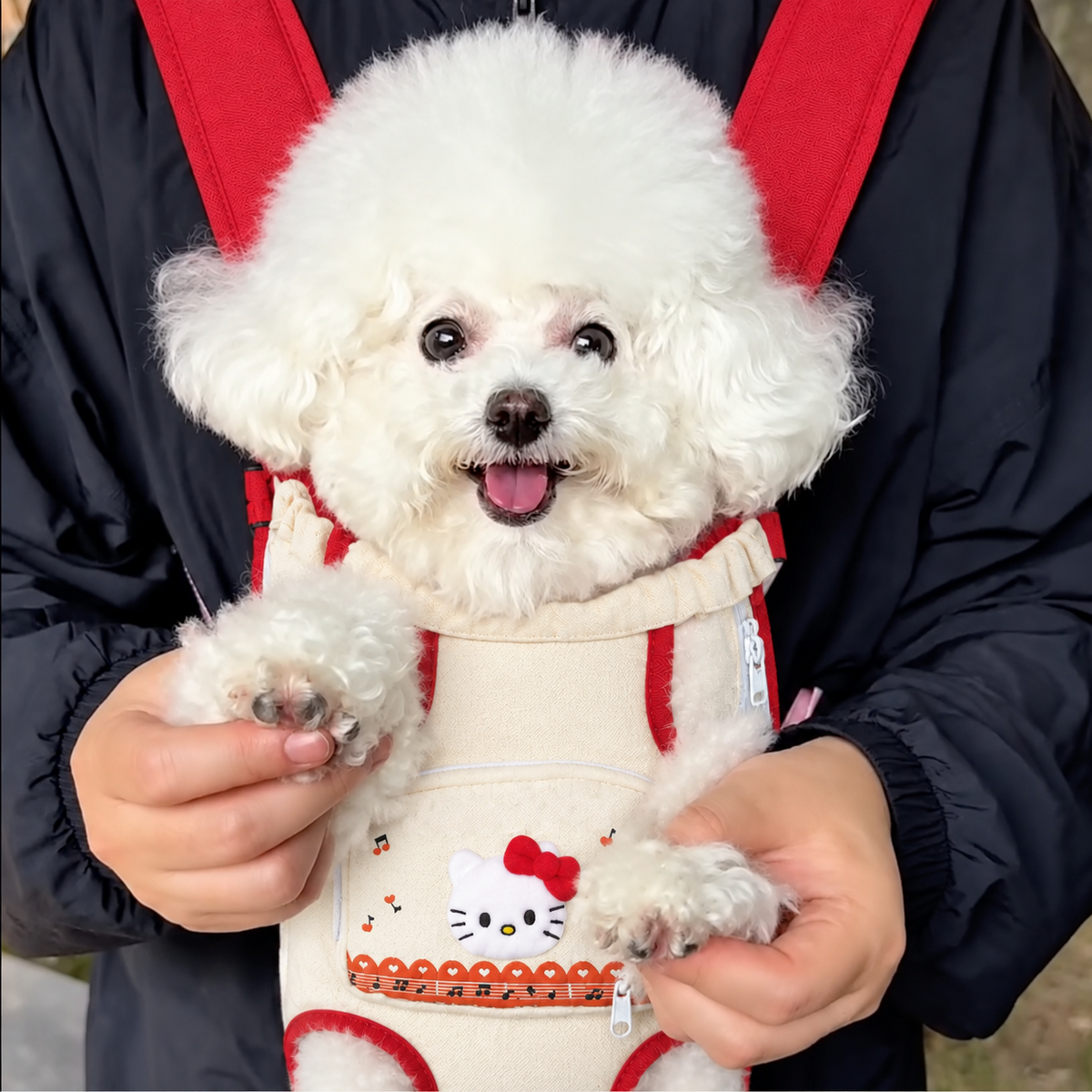 Chewie Viral Cozy Backpack