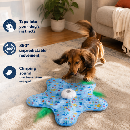 Chewie Viral Spinning Star